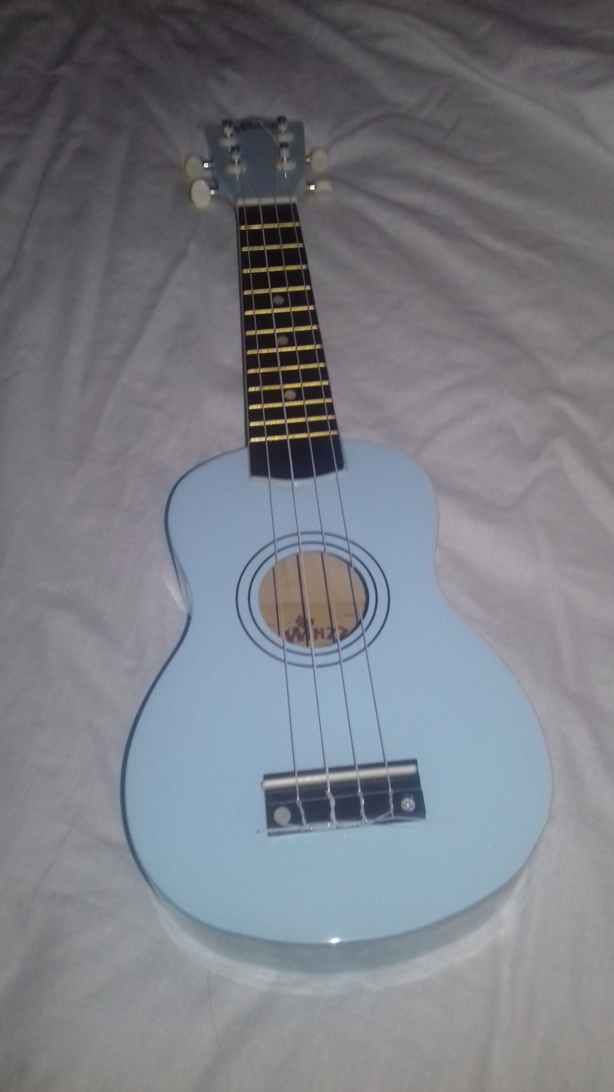 Amateur ukulele song written on blue Bessie the ukulele